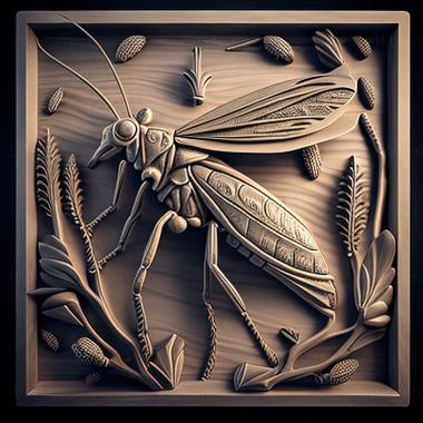 3D модель Oedemera tristis (STL)